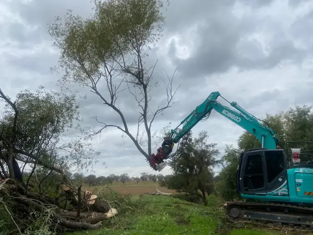 O.S. Trees Pty Ltd cover