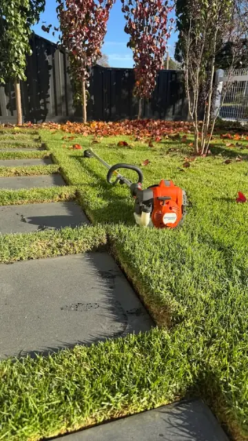 Oasis Lawns - Lawn & Garden Care cover