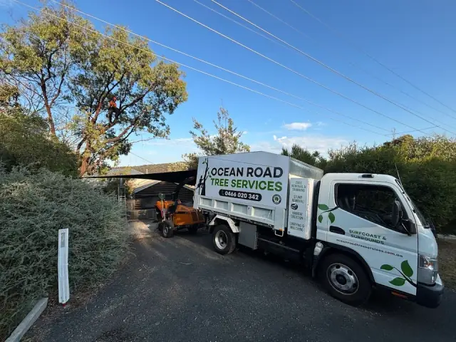 Ocean Road Tree Services cover