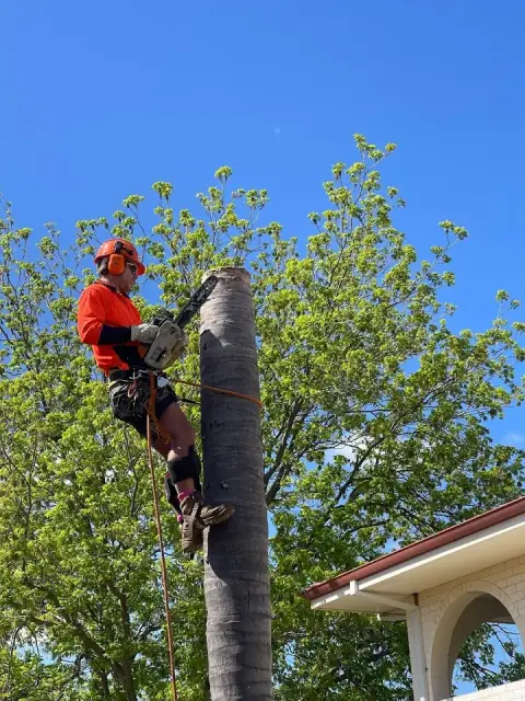 Omega tree service cover