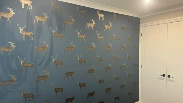 Optimum Painting & Decorating