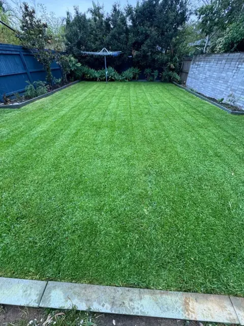 Order of the Lawn cover