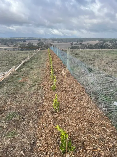 Otway Mowing And Pruning cover