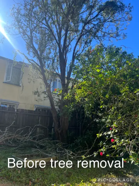 Ozzy's Tree & Trailer Services cover