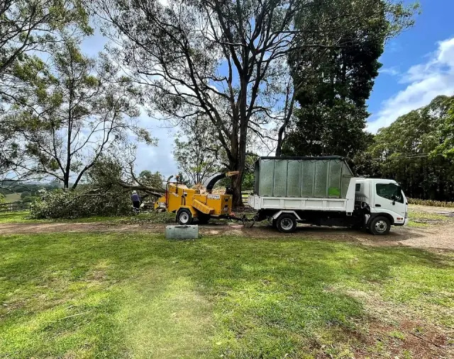 Pacific Tree Services cover