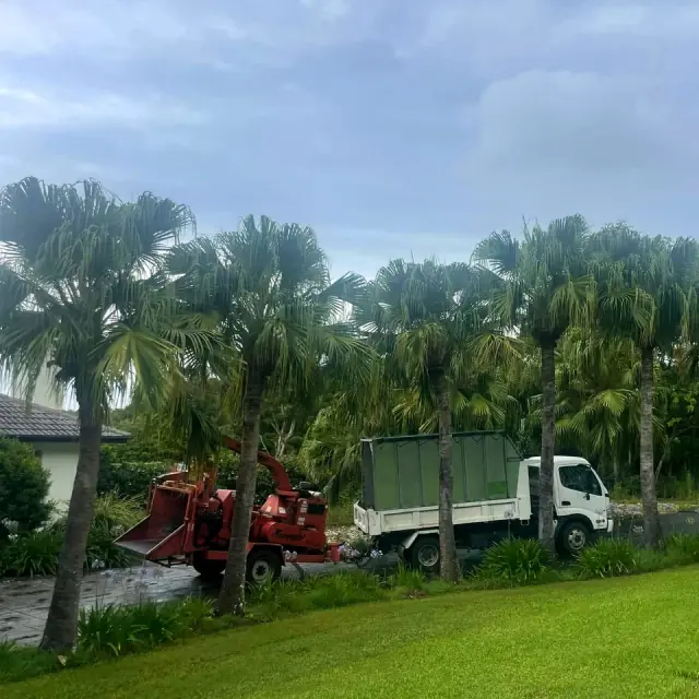 Pacific Tree Services