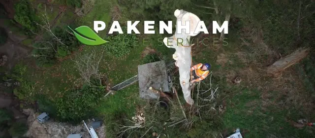 Pakenham tree services