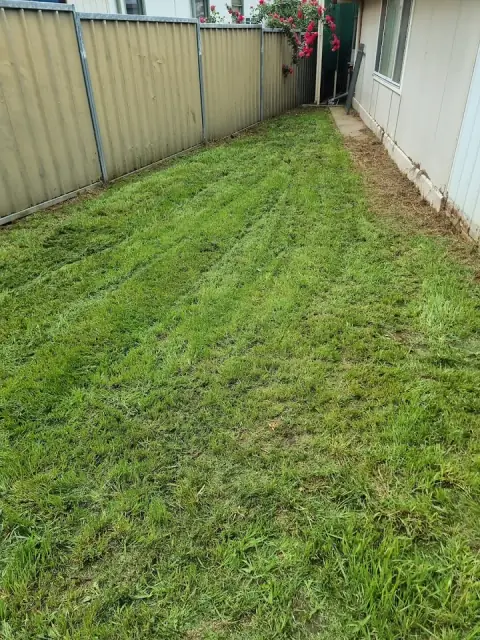 Panjab Lawn Care