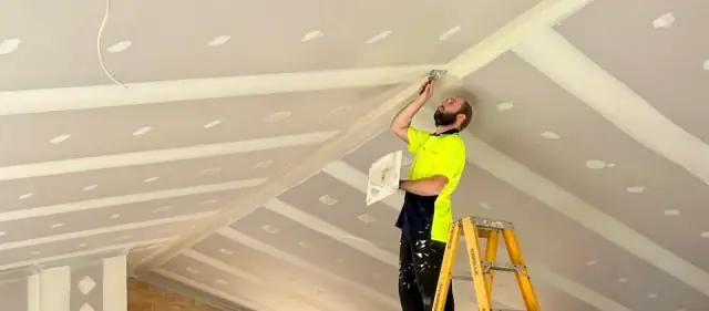 Paul Vincent Plastering cover
