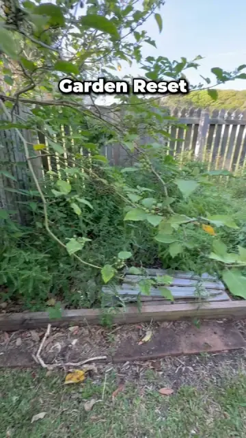 Peaceful Mind Gardening cover