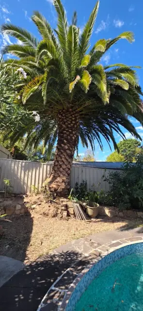 Peak tree and stump services
