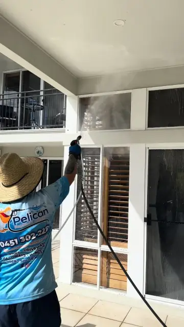 Pelican Pressure Cleaning cover
