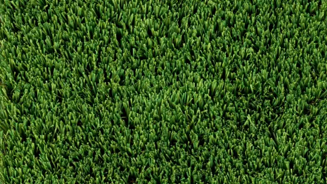 Perfect Turf Solutions | Artificial & Synthetic Grass Installer