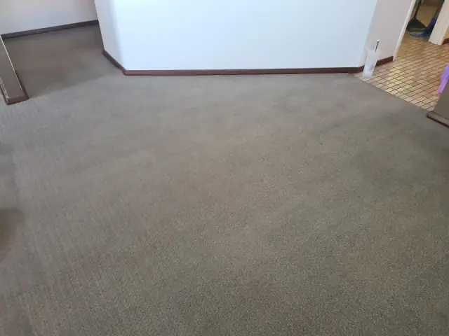 Perth Cleaning Masters cover