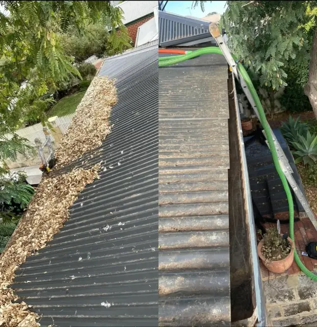Perth Gutters Cleaning cover