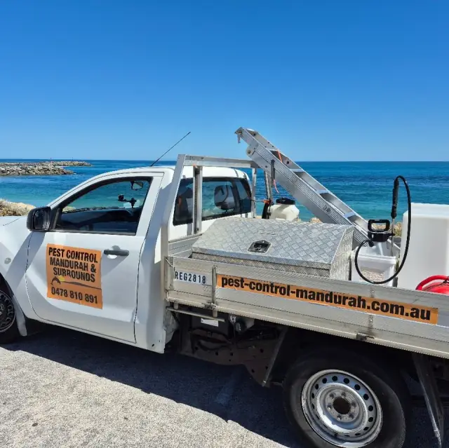 Pest Control Mandurah and Surrounds
