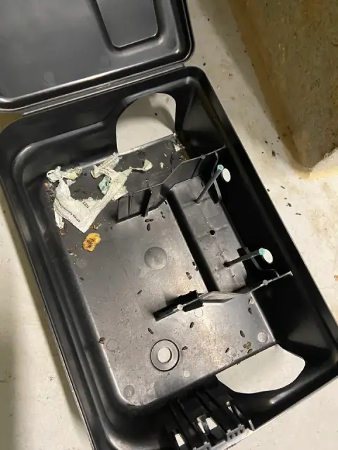 Pest Control Works cover