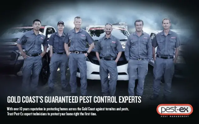 Pest-Ex Termite & Pest Control Gold Coast cover