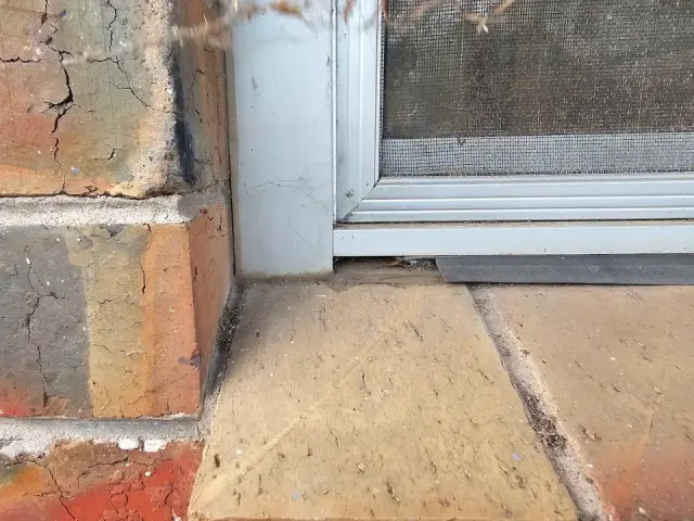 Pest Patrol Geelong