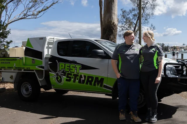 Pest Storm