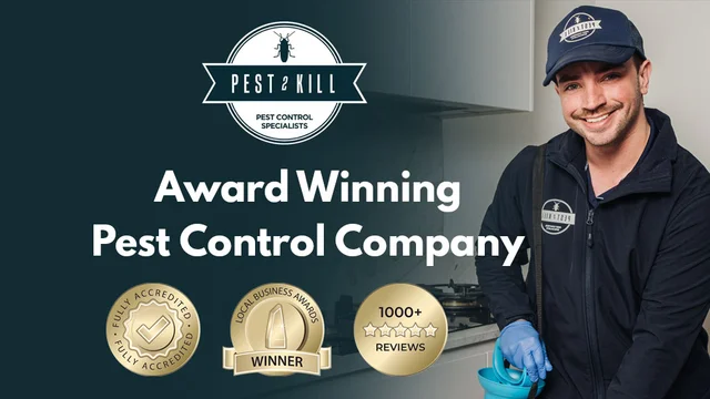 Pest2Kill