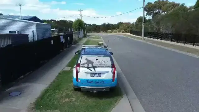 Phillip Island Arborist cover