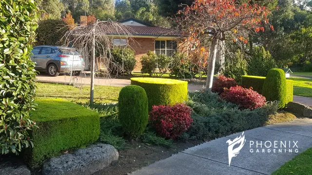 Phoenix Gardening Care cover