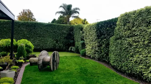 Phoenix Gardening Care