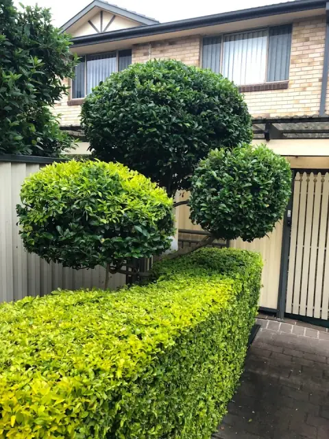 Pichor‘s Gardening