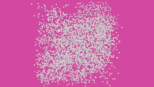 Pink Termite and Pest Experts cover