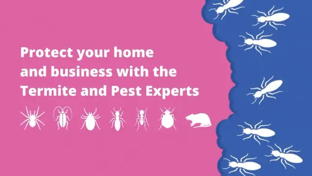 Pink Termite and Pest Experts