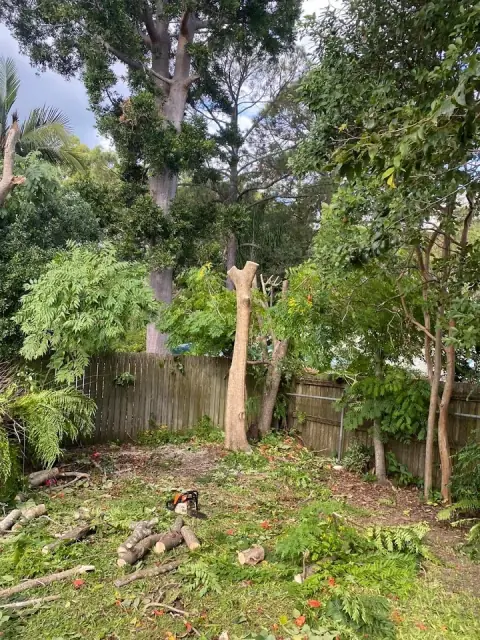 PINK TREE SERVICES cover