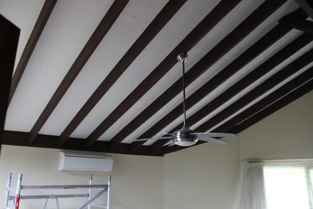 Pinnacle Roofing and Ceiling Repair Services