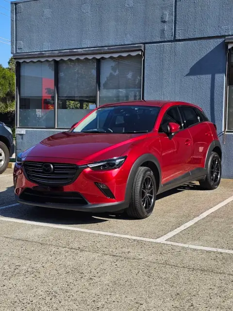 Platinum Paint Protection