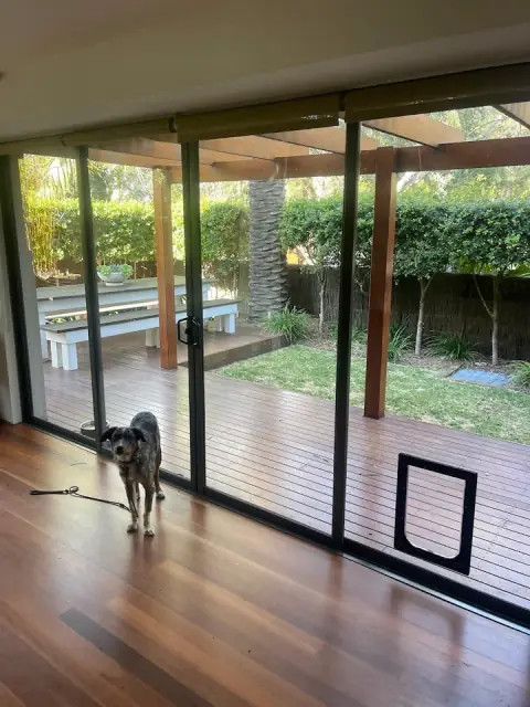 Platinum Pet Doors Sydney
