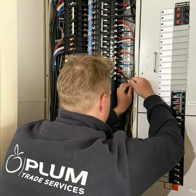 Plum Electrical cover