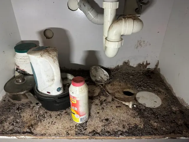 Port Hunter Pest and Building Inspections cover