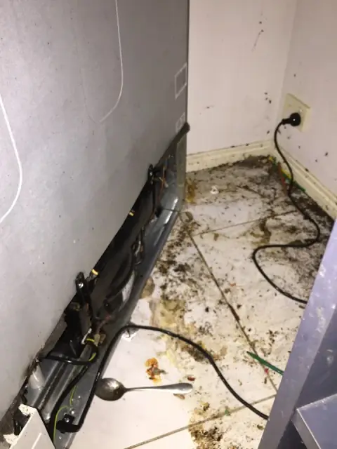 Positive Pest Solutions cover