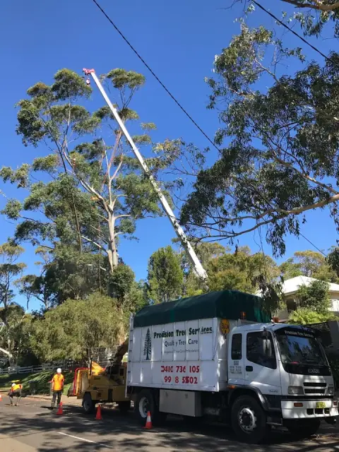 Precision Tree Services cover
