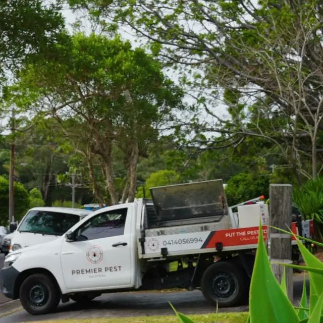 Premier Pest Control - Wollongong cover