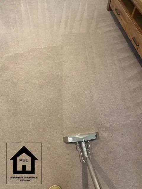 Premier Surface Cleaning cover