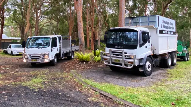 Prestige Tree and Stump Service