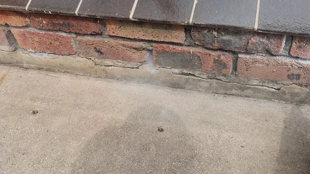 PrimeClean Pest Control. cover