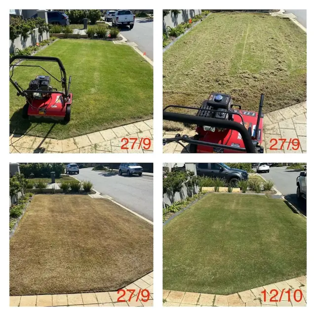 Pro Cut Turf Care