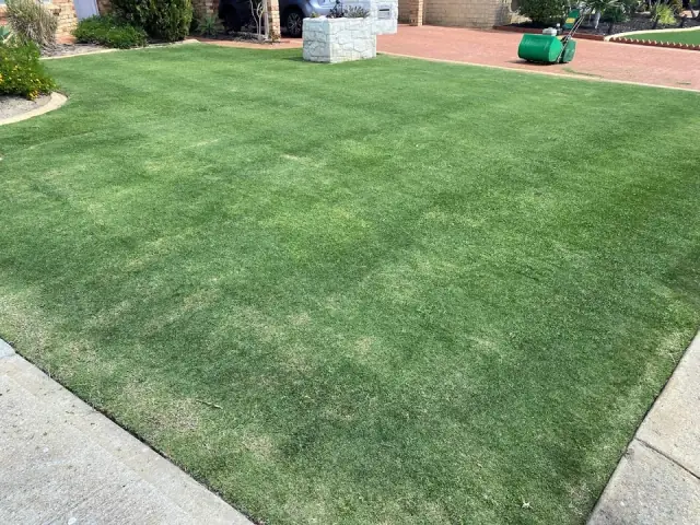 Pro Cut Turf Care cover