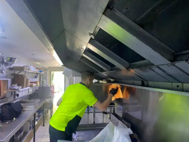 Professional Canopy Cleaning cover