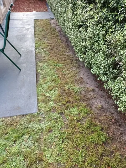 Proper Garden Care