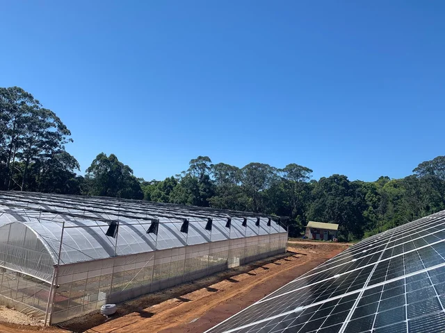 ProSolar Australia cover