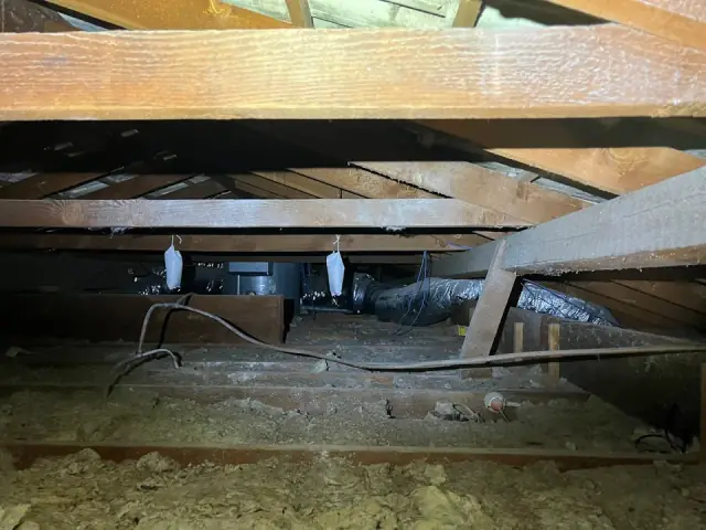 Protec Pest Control Adelaide cover