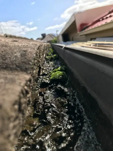 ProVac Plus cover